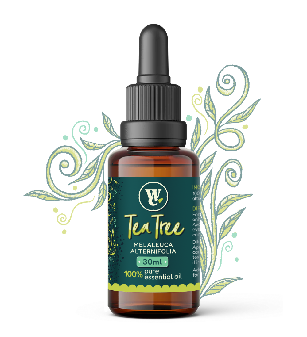 Tea tree pure essential oil