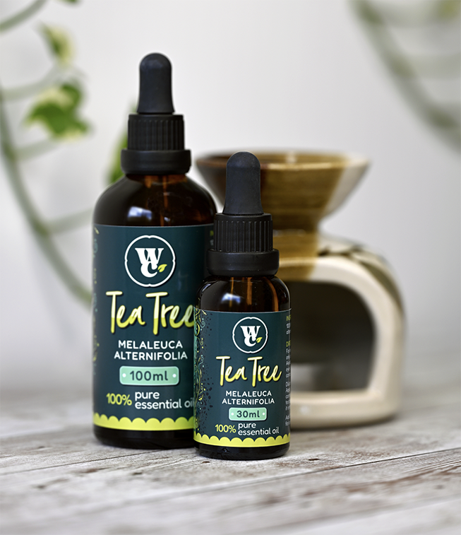 Tea tree pure essential oil