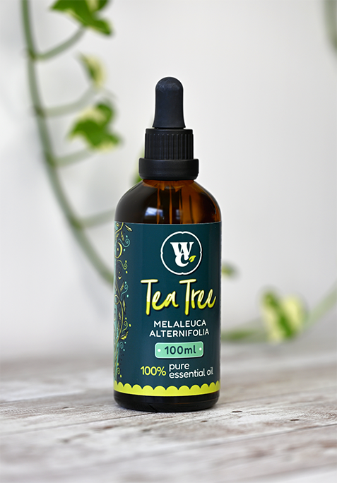 Tea tree pure essential oil