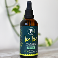 Tea tree pure essential oil