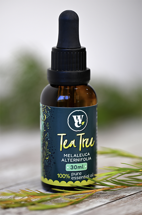 Tea tree pure essential oil