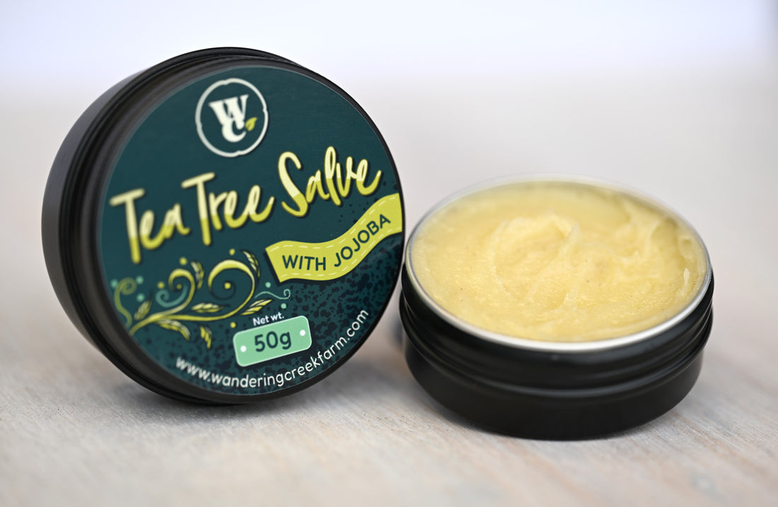 Tea tree salve with jojoba
